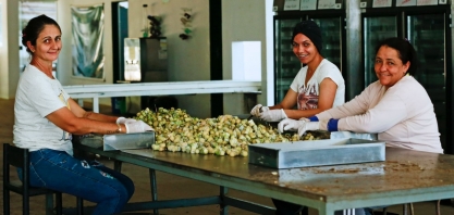 Na Spinagro e Spnalcool as mulheres dão o tom