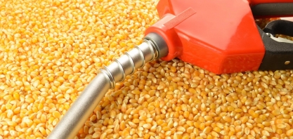 A ciência comprova: produção de biocombustíveis e de alimentos crescem juntas
