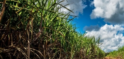 Atvos faz acordo com startup japonesa para produção de amônia verde