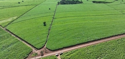 Produtores da Canaoeste renovam certificação Bonsucro e ampliam área certificada