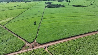 Produtores da Canaoeste renovam certificação Bonsucro e ampliam área certificada