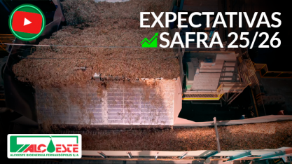 Alcoeste Bioenergia inicia safra 25/26 com expectativa de processar 2,15 mi/t