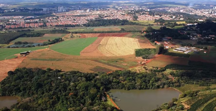 Fazenda Santa Elisa, o Instituto Agronômico de Campinas (IAC) — Foto: Divulgação IAC