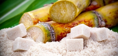 ‘Dia da libertação’ de Trump deve atingir mais itens do agro, além do etanol