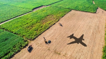Cana-de-açúcar certificada pode impulsionar jornada de sustentabilidade da aviação
