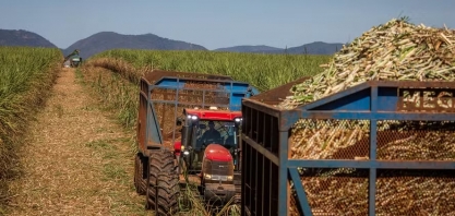 Grupo da Eslováquia compra 50% de usina de cana em Minas Gerais