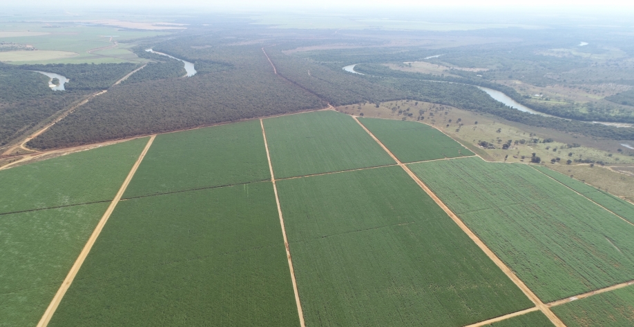 Foto: Divulgação Netafim