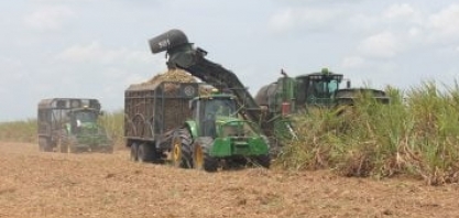 Miriri celebra 49 anos com campanha institucional