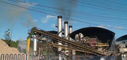 AL: safra 2024/2025 acumula 17,2 milhões de toneladas de cana processadas