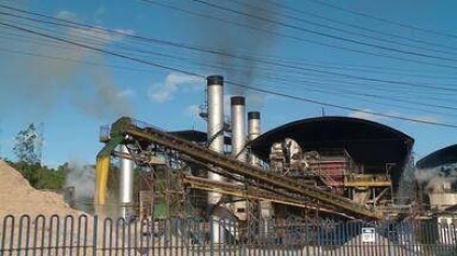 AL: safra 2024/2025 acumula 17,2 milhões de toneladas de cana processadas