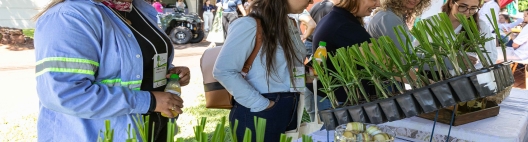 Centro de Cana do IAC levou o fruto de alguns de seus projetos para o 13º Cana Substantivo Feminino