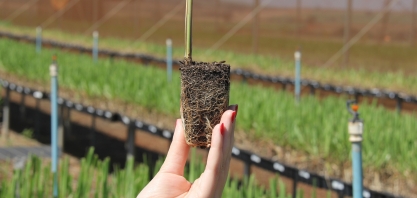 Após boom, uso de MPB cai drasticamente pelo setor