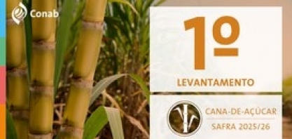 Cana-de-açúcar tem produção estimada em 663,4 milhões de toneladas na safra 2025/26