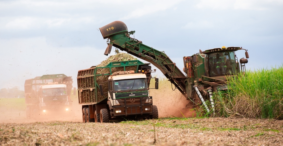 Foto: Arquivo Biosul