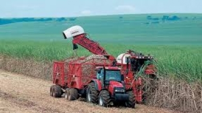 RenovaBio: entidades de biocombustíveis avaliam que decreto traz segurança jurídica ao mercado