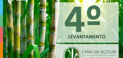 Conab: safra 2024/25 de cana-de-açúcar encerra com produção estimada em 676,96 milhões de toneladas