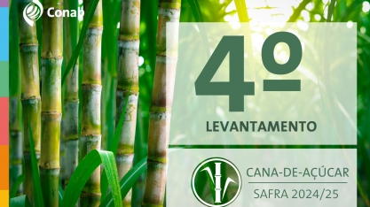 Conab: safra 2024/25 de cana-de-açúcar encerra com produção estimada em 676,96 milhões de toneladas