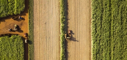 BASF apresenta novas soluções para cana-de-açúcar na Agrishow