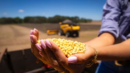 Safra de grãos 2024/25 deve atingir recorde de 330,3 milhões de toneladas, diz Conab