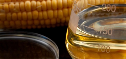 Etanol de milho pode representar 40% da produção de biocombustíveis no Brasil até 2030