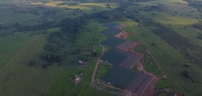 Cocal cresce na energia solar e inicia as atividades da sua segunda usina fotovoltaica