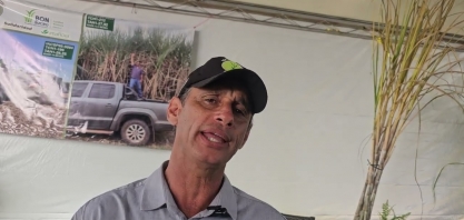 A Cana-de-Açúcar é tradição na Agrícola Trevizoli