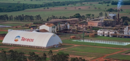 Desafios da Tereos: Queda nos Preços do Açúcar e Margens Fracas Impactam Resultados Fiscais