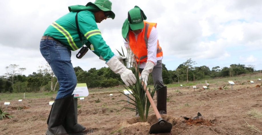 Foto: Mário Marques/SDE