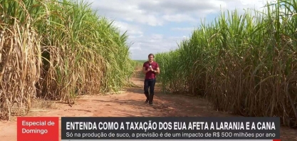 Entenda como a taxação dos EUA afeta a laranja e a cana produzidas pelo Brasil