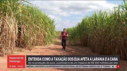 Entenda como a taxação dos EUA afeta a laranja e a cana produzidas pelo Brasil