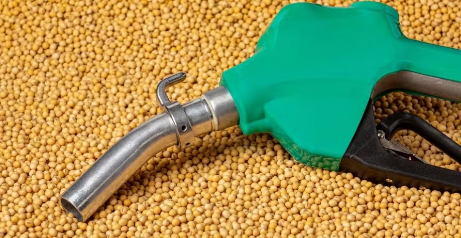 Novas medidas para o biodiesel podem prejudicar demanda por soja nos EUA — Foto: Getty Images