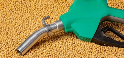 Preço da soja cai em Chicago após novas regras para o biodiesel nos EUA