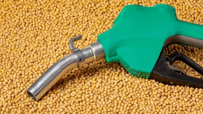 Preço da soja cai em Chicago após novas regras para o biodiesel nos EUA