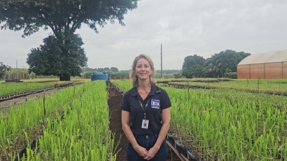 Na Estação Muda Pré-Brotada, no Cana Show-IAC025, os visitantes conferem processo de produção de MPB