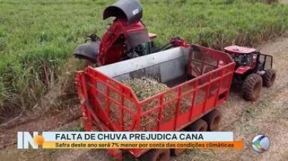 Redução na safra de cana de açúcar em Minas Gerais