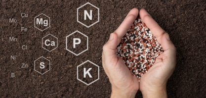 Alta nos fertilizantes acende alerta no campo, mas solos biologicamente equilibrados ajudam a otimizar recursos