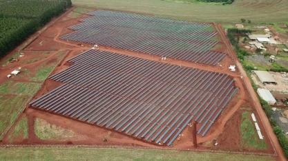 Cade aprova aquisição de projetos solares da Raízen Energia pela Pátria