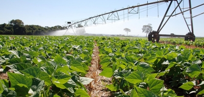 Novo mapa nacional mostra onde há maior potencial para agricultura no Brasil