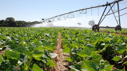 Novo mapa nacional mostra onde há maior potencial para agricultura no Brasil