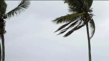 Frente fria e ciclone trazem chuva de 150 mm e ventos de 100 km/h nesta semana