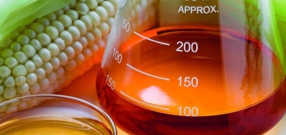 Produção de etanol deve aumentar demanda por milho em 6,3% na safra 2024/25