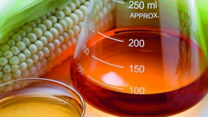 Produção de etanol deve aumentar demanda por milho em 6,3% na safra 2024/25