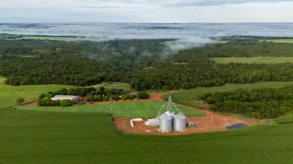 Etanol de milho: a energia limpa que nasce nas lavouras de Mato Grosso