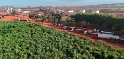Após recorde de produção de açúcar em 2024, indústria paraense mira safra ainda maior