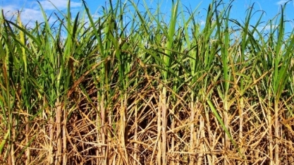 ATR de maio tem crescimento de 3% face abril