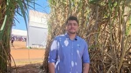 Koppert terá no Cana Show-IAC 2025 canavial tratado com suas soluções biológicas