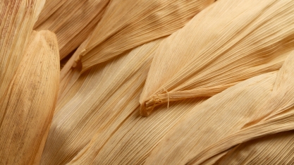 Tecnologia verde aproveita palha de milho para gerar bioderivados de alto valor com economia