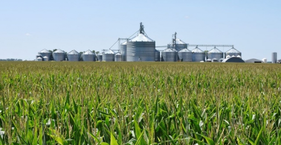 (Foto: REUTERS/Dan Koeck)