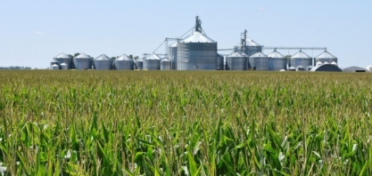 Produção de etanol de milho do Brasil deve crescer 20% em 2025/26, diz Unem