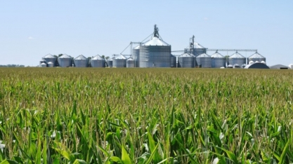 Produção de etanol de milho do Brasil deve crescer 20% em 2025/26, diz Unem